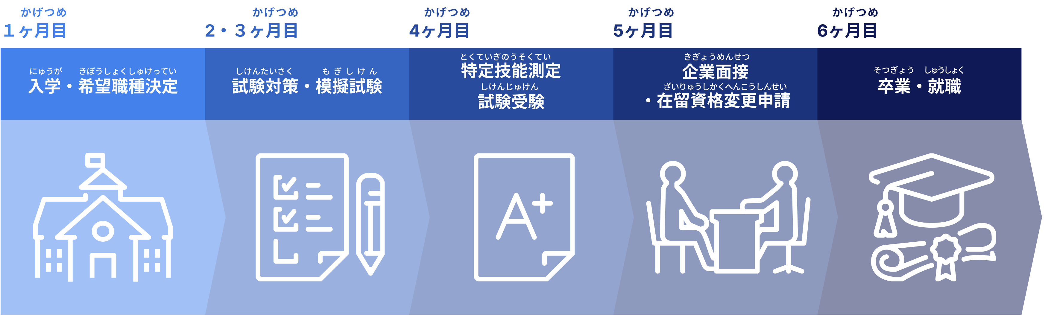 資格取得〜就職卒業スケジュール